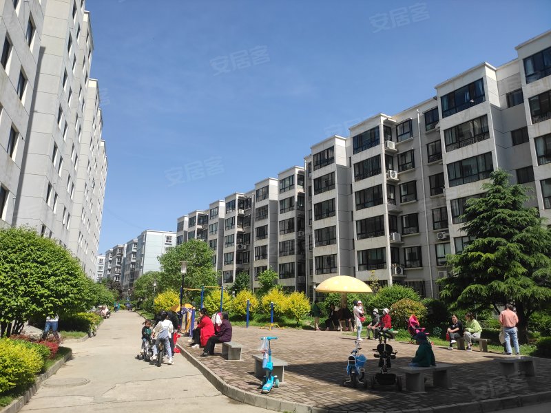 陇林佳园,花牛路1号-天水陇林佳园二手房,租房,房价