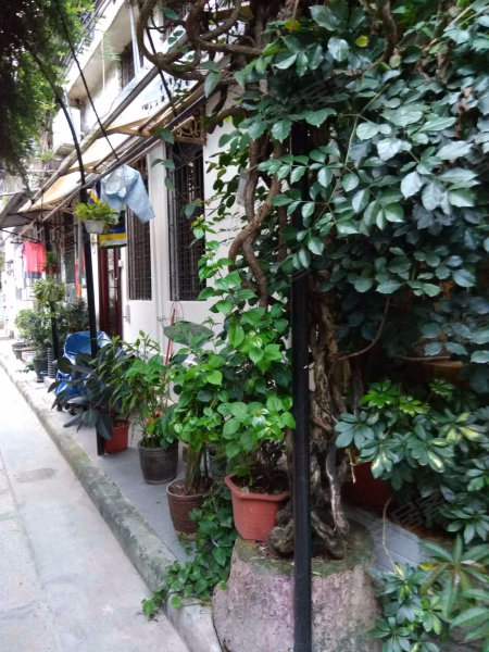 芳草街小区,豪贤路33号-广州芳草街小区二手房,租房,房价-广州安居客