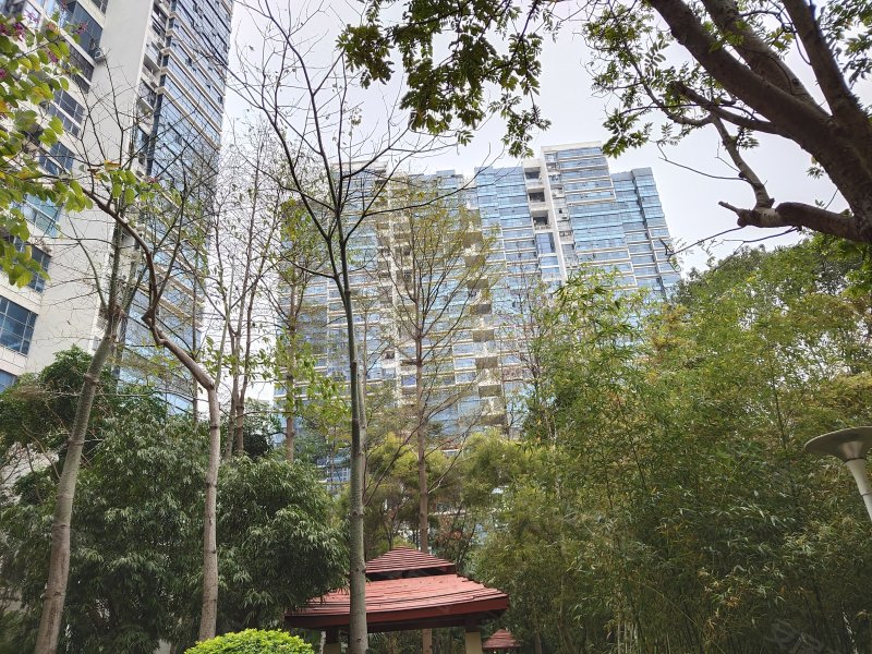槟城西岸华庭,悦和路7号-深圳槟城西岸华庭二手房,租房,房价-深圳安居