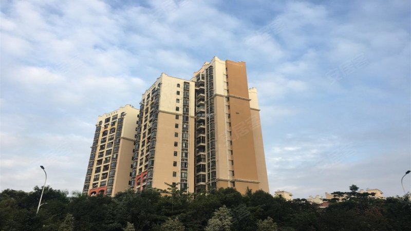 旭景佳园(三期,坂雪岗大道,近马安堂中兴路-深圳旭景佳园(三期)二手