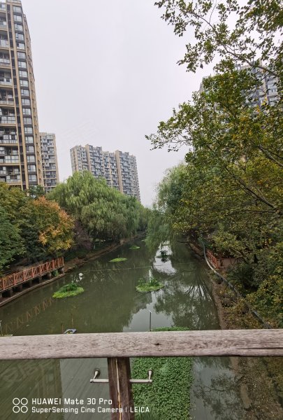 金地自在城东苑(别墅),池华街,近厚仁路-杭州金地自在