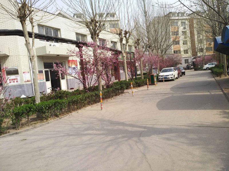 青青家园,长城南大街1633号-保定青青家园二手房,租房