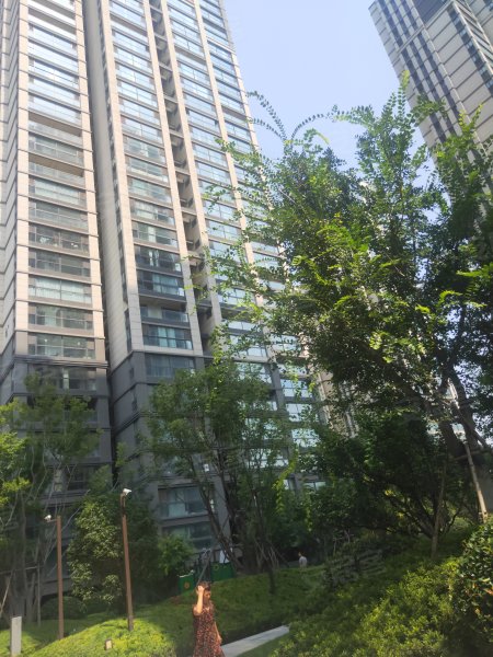 永威枫香庭东院,中州大道-郑州永威枫香庭东院二手房