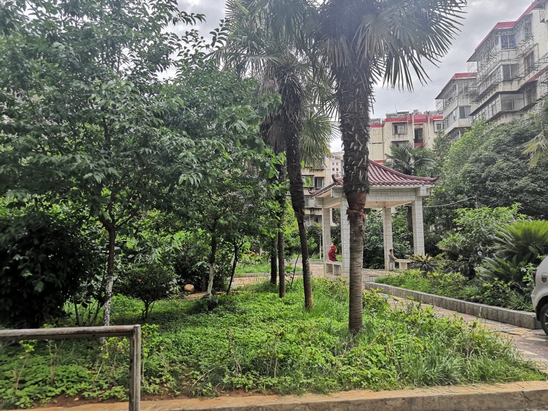 金桥花园南区,金桥路39号-昆明金桥花园南区二手房
