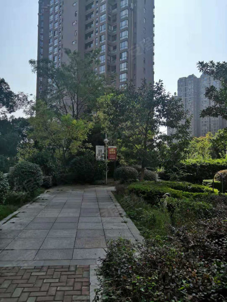 虹桥国际公寓,夷陵大道358号-宜昌虹桥国际公寓二手房,租房,房价-宜昌