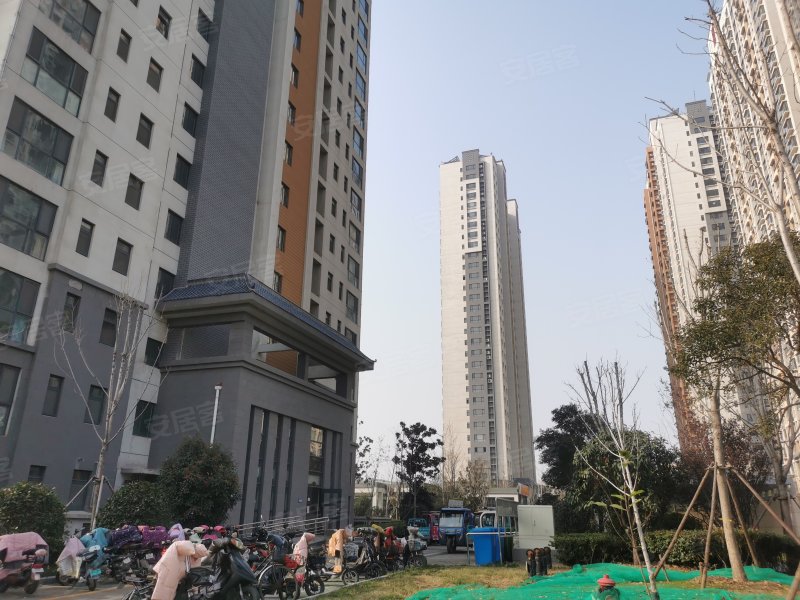 鸿顺观邸(二期),运河路-济宁鸿顺观邸(二期)二手房,租房,房价-济宁