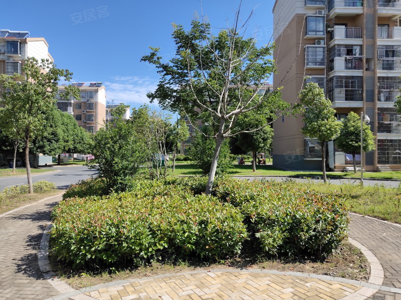 新桥家园,紫薇路-合肥新桥家园二手房,租房,房价-合肥安居客