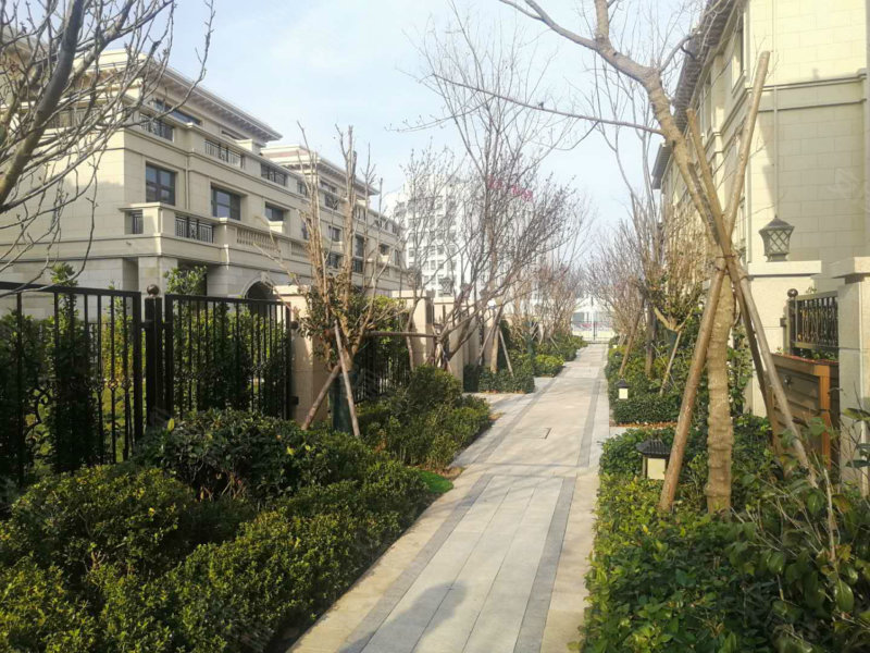 上海大公馆(别墅),江苏东路,近威青一级公路-威海上海