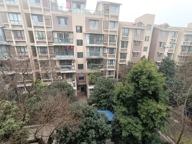 南湖郡,通达南街157号-自贡南湖郡二手房,租房,房价