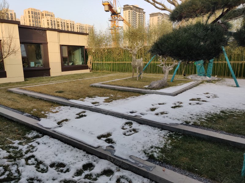 金地华著