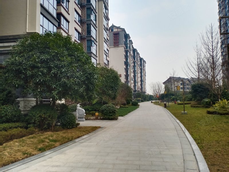 阳光1519临江邸