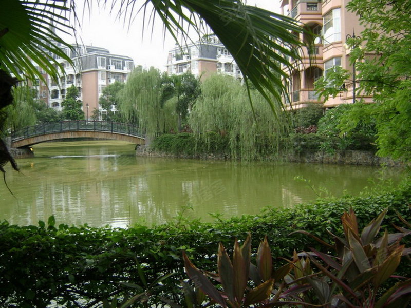 香格里拉花园(别墅),凤凰路-佛山香格里拉花园(别墅)