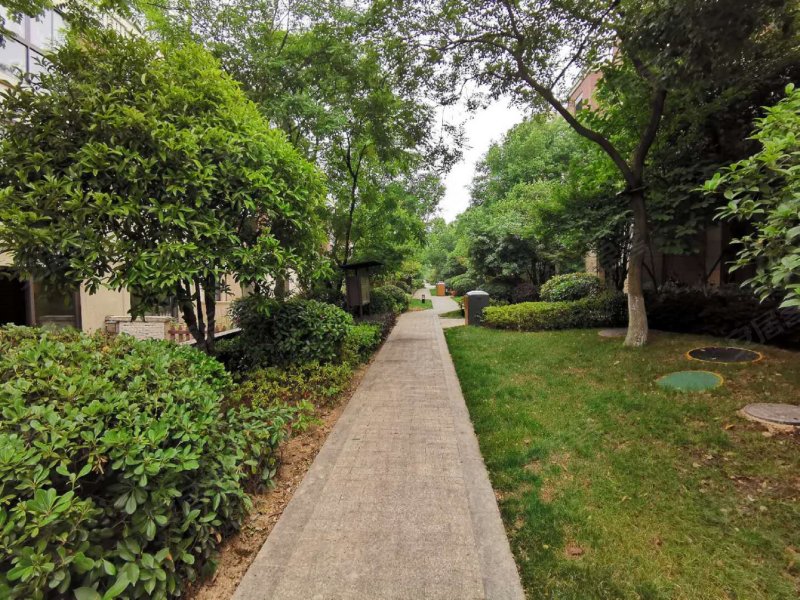 朗诗保利麓院(别墅),灵山北路68号-南京朗诗保利麓院