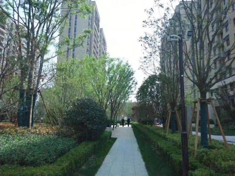 天伦城(一期),鸿宝路,近任庄路-郑州天伦城(一期)二手