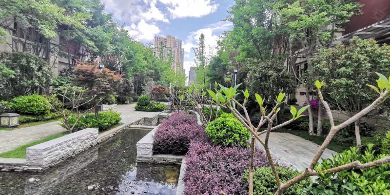 御景东方,永昌路,近海棠路-保山御景东方二手房,租房