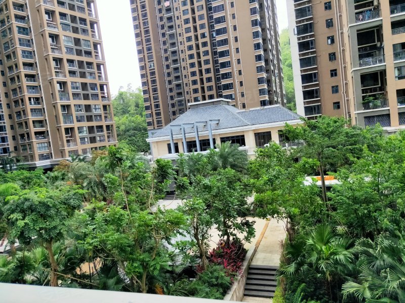 锦园,九洲大道2088号-珠海锦园二手房,租房,房价-珠海