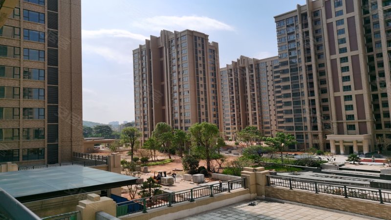 岐江东岸