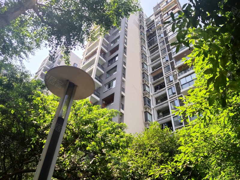 鲁能星城四街区