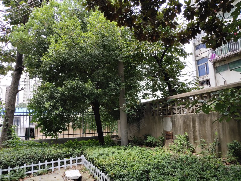 合肥市老年公寓,樊洼路129号-合肥合肥市老年公寓二手房,租房,房价