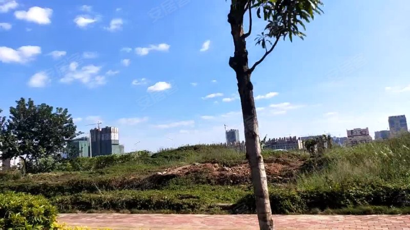 江南君悦喜府,贤明路,近三津大道-南宁江南君悦喜府房