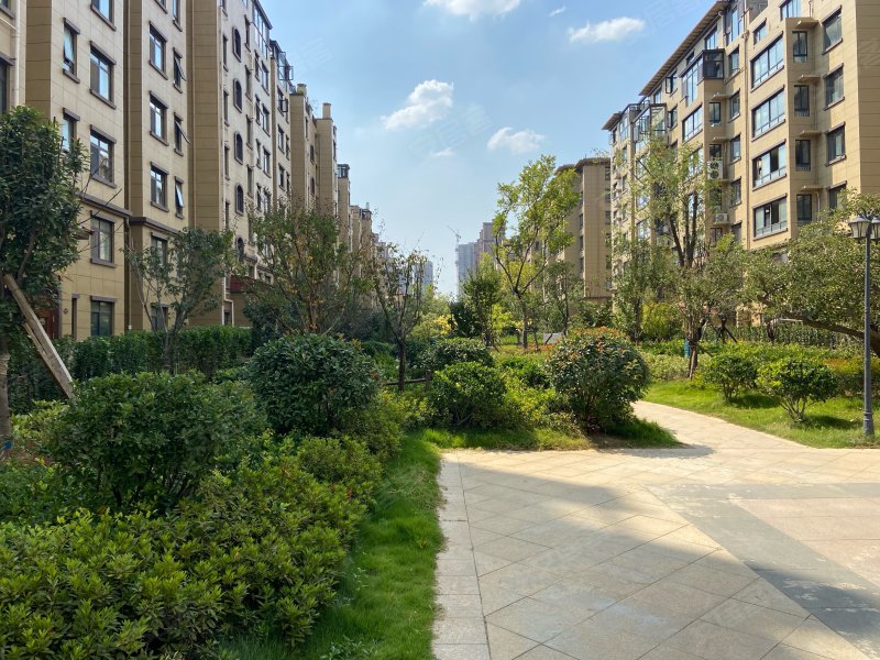 中坚一品,西昌北路,近枣曹路-枣庄中坚一品二手房
