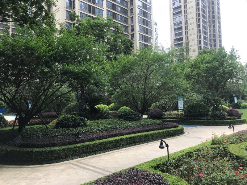 绿城杨柳郡,白沙路16号-柳州绿城杨柳郡二手房,租房