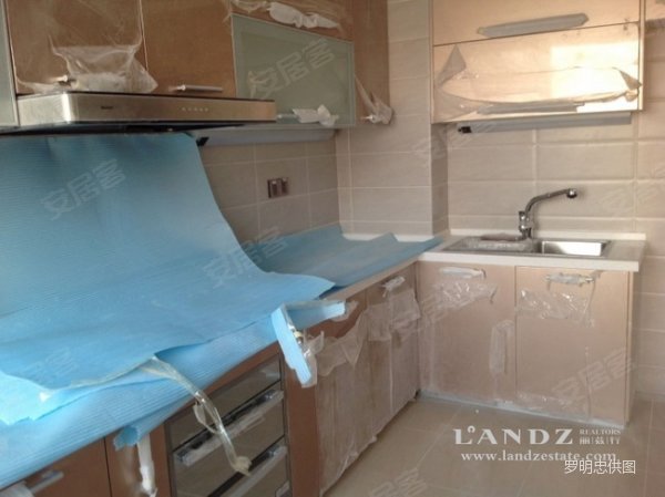 【多图】[LANDZ豪宅专家]精装出炉 低100万 1