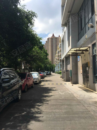 50万 58平 满五唯一住房 南北通透 城市碧园 房东急置换