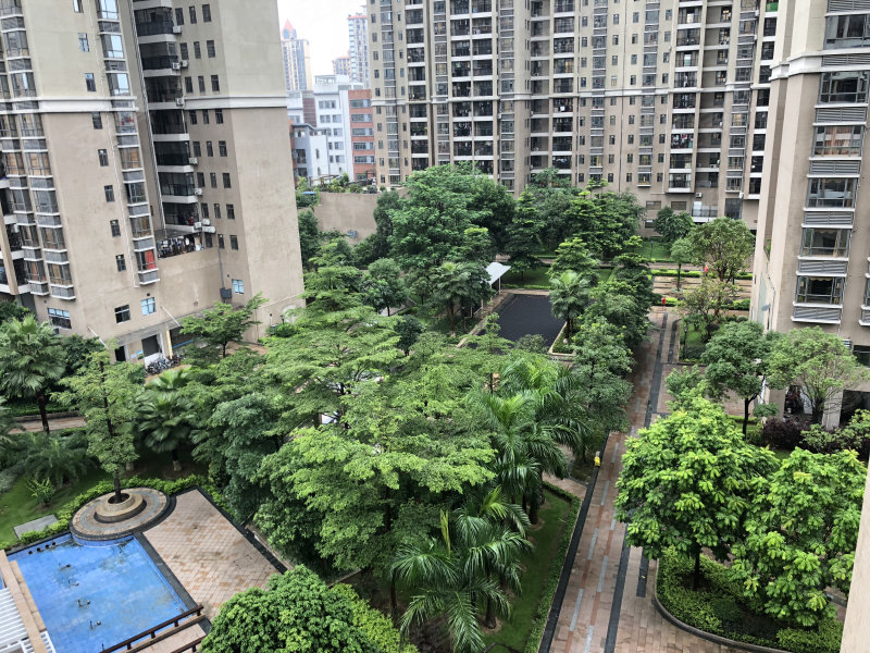 城市花园