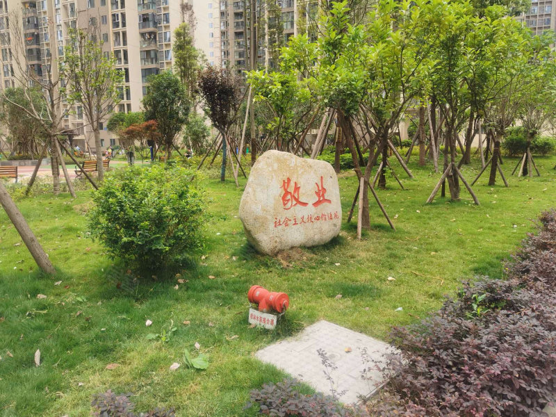 保水逸苑b区