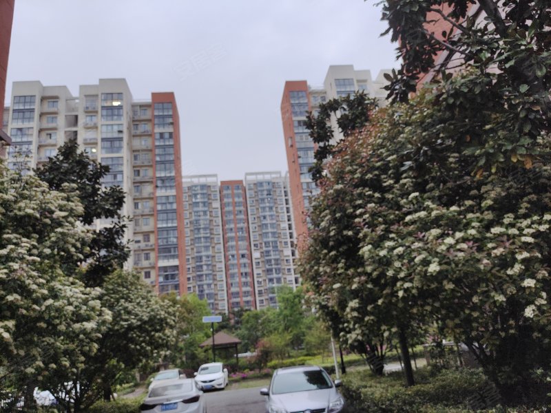 杉湾花园(六期,开发东路-扬州杉湾花园(六期)二手房,租房,房价-扬州