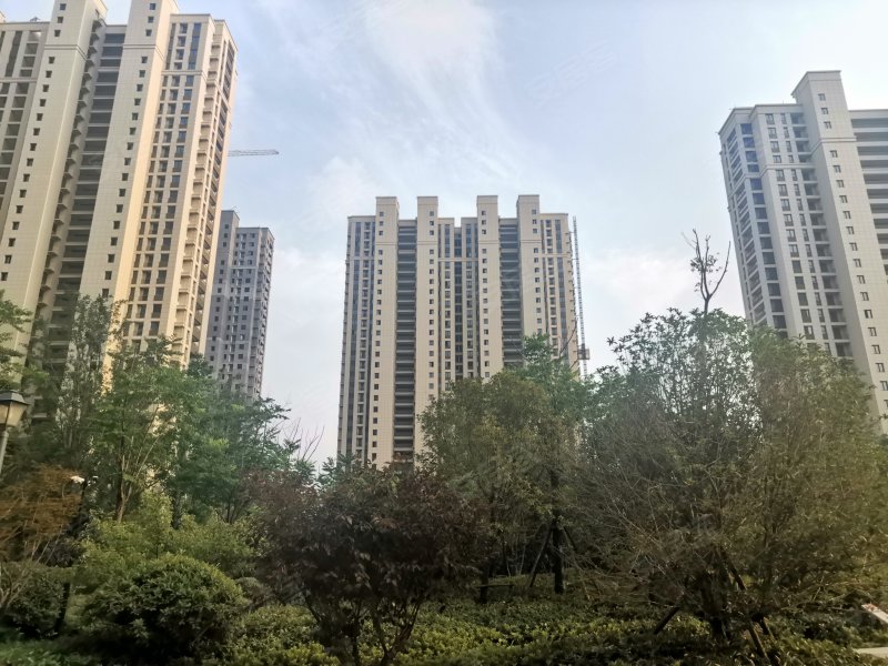 金鹰国际花园(宿城),西湖路1号-宿迁金鹰国际花园()房