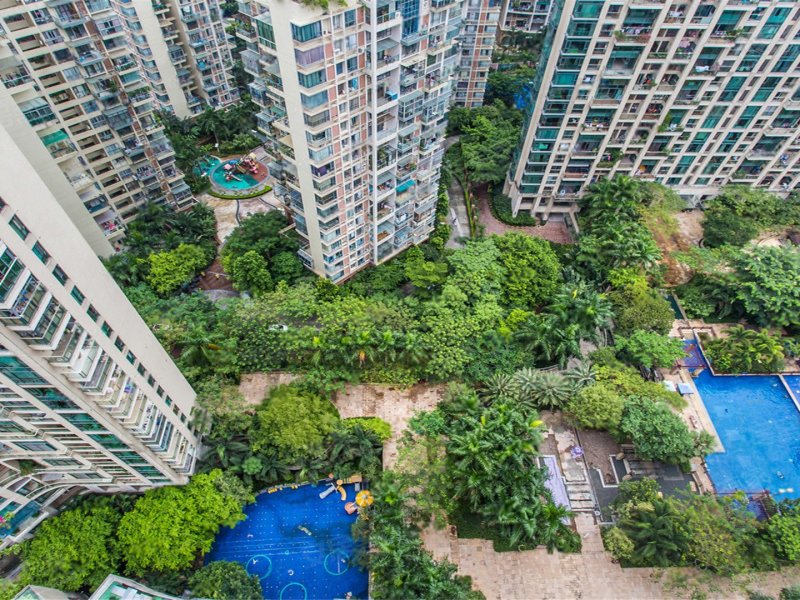 卓越浅水湾,高新南环路61号-深圳卓越浅水湾二手房
