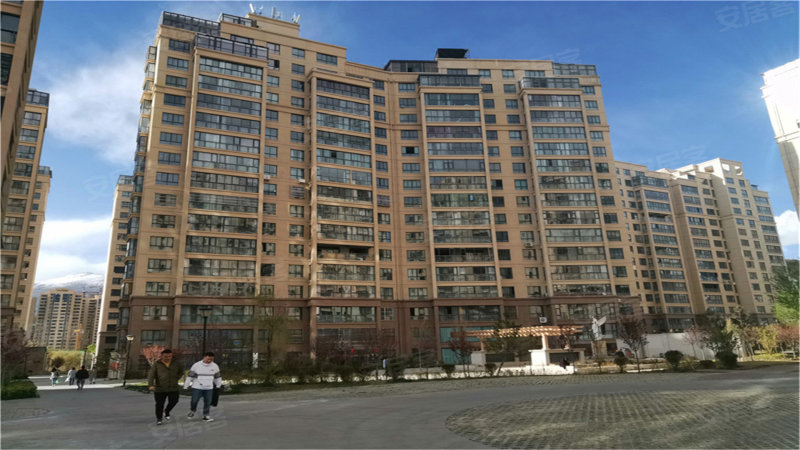 金马国际