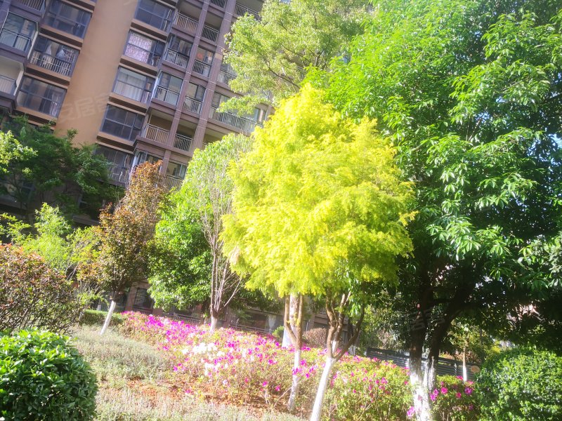 时代俊园银杏雅苑