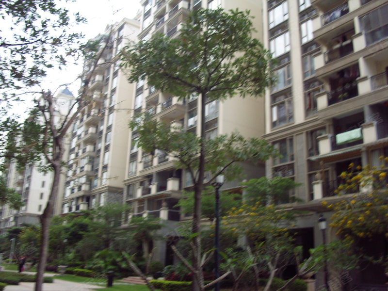 佳兆业香瑞园(南区)