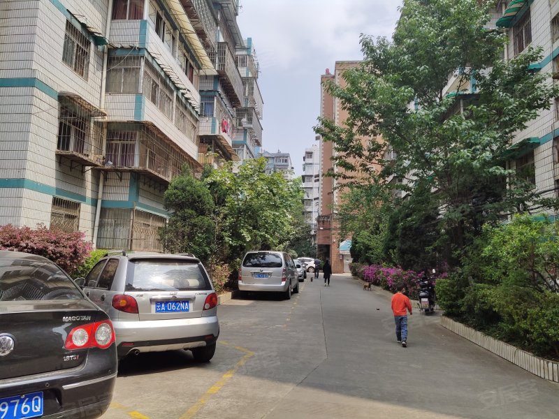 金苑住宅区,昙小路,近二环东路-昆明金苑住宅区二手房