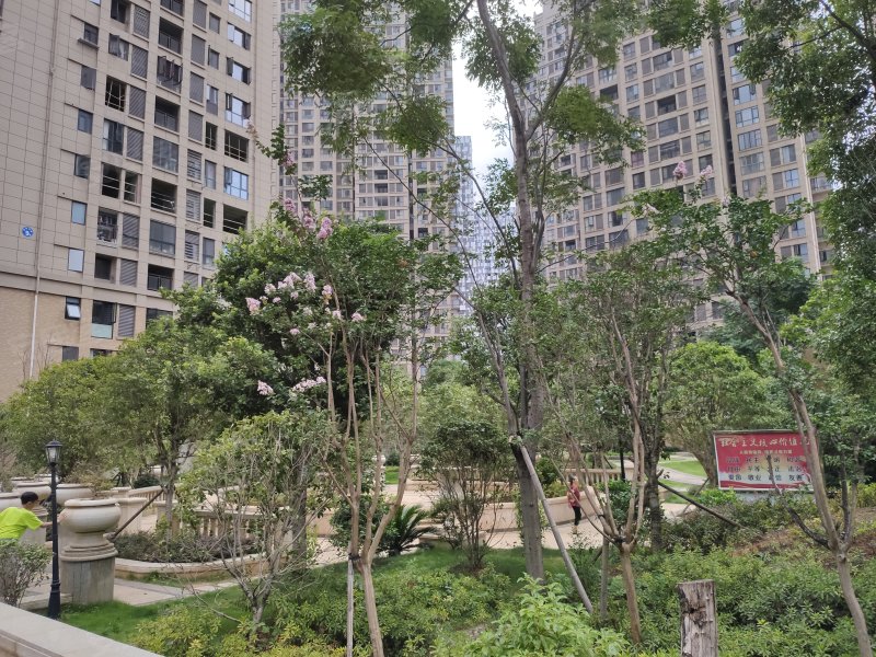 新贵华城三期,南湖路-郴州新贵华城三期二手房,租房