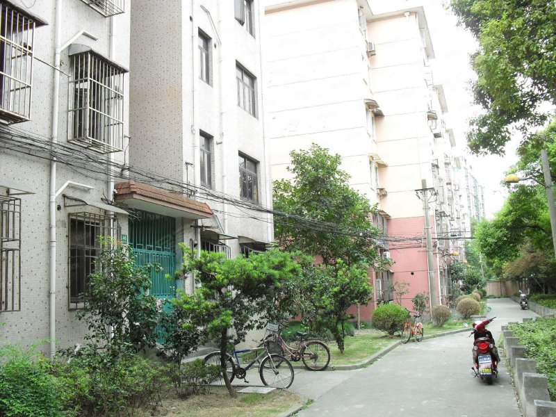 龙柏三村
