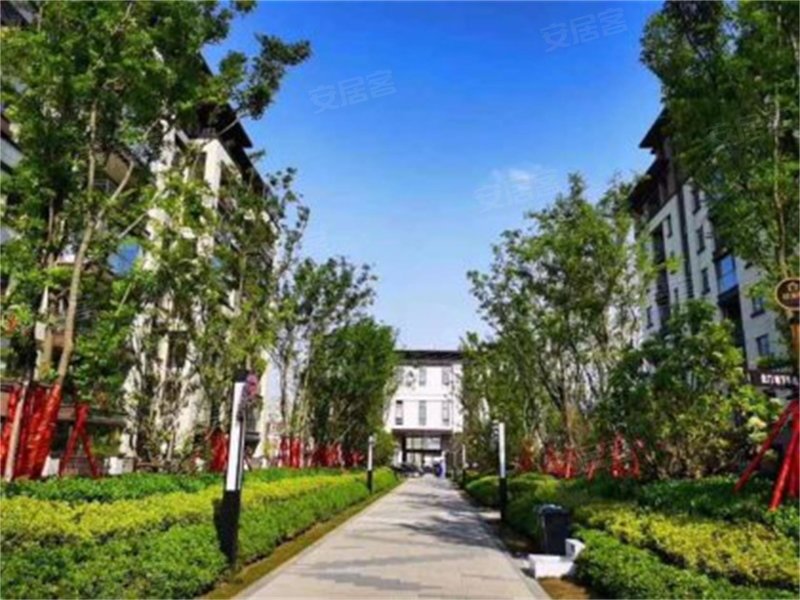 建业春天里柘城