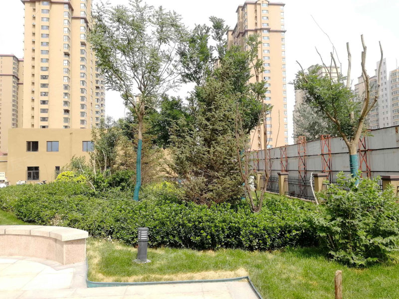 幸福城(e区),新华路-石家庄幸福城(e区)二手房,租房