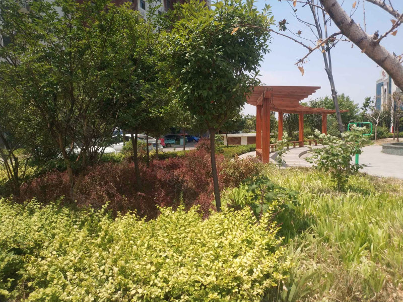 唐王湖小区
