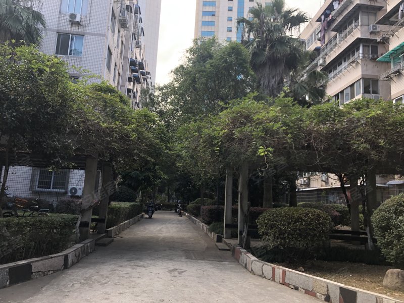 新府花园,康源路216号-温州新府花园二手房,租房,房价