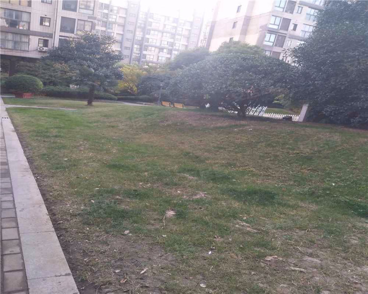 新城蓝钻苑(南区),林庄路,近砚瓦路-常州新城蓝钻苑()