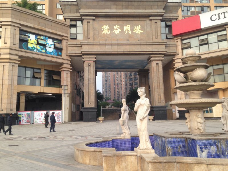 麓谷明珠,枫林三路-长沙麓谷明珠二手房,租房,房价-长沙安居客