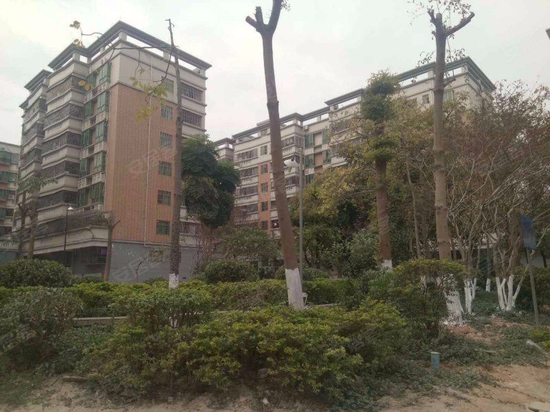 名雅花园(高明),丰成街12号-佛山名雅花园(高明)二手