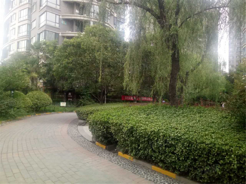 利君明天