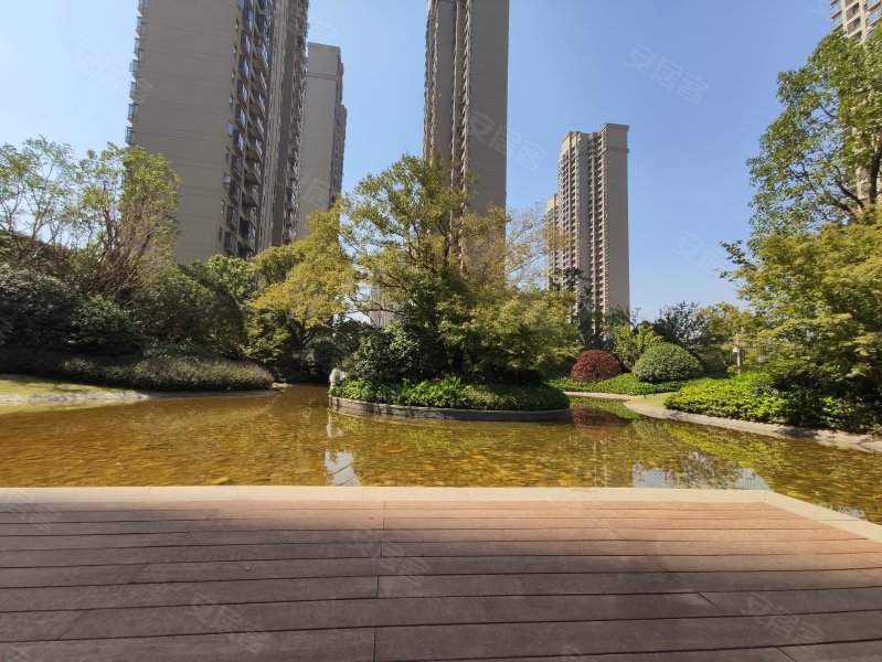 新力龙湾,明月山大道-南昌新力龙湾二手房,租房,房价-南昌安居客