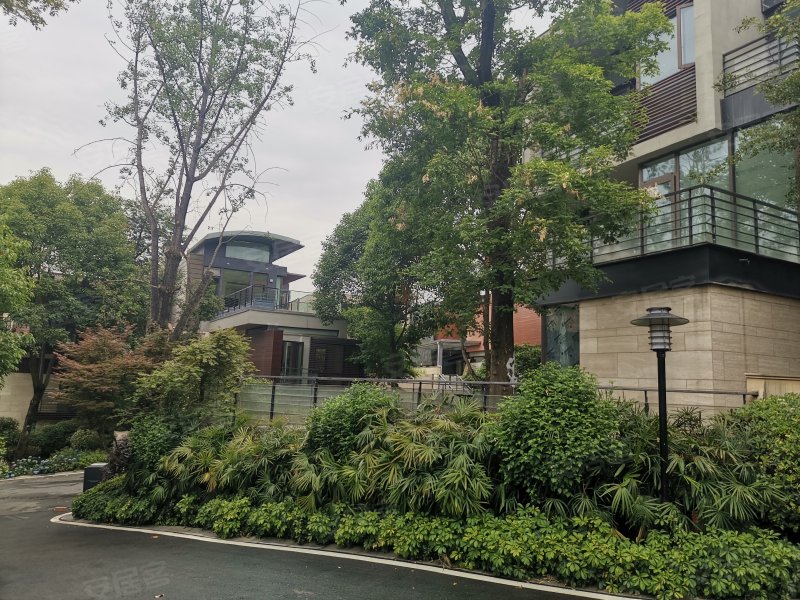 麓湖生态城蓝花屿,天府大道南一段-成都麓湖生态城房