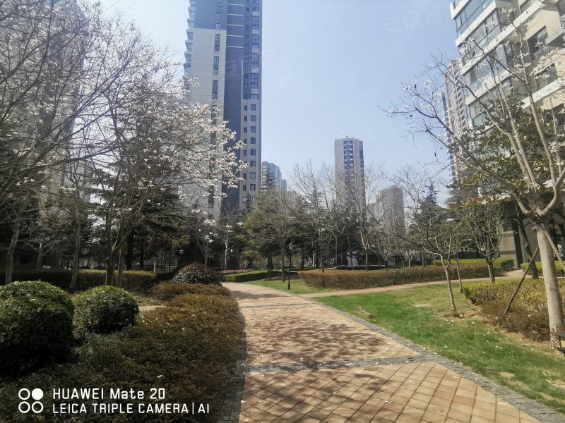 麦岛金岸,东海东路1号-青岛麦岛金岸二手房,租房,房价